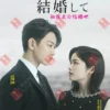 Japanese Drama DVD Marry My Husband Eps 1-10 End English Subtitle Box Set
