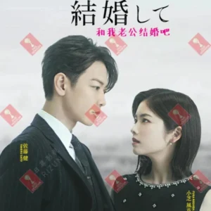 Japanese Drama DVD Marry My Husband Eps 1-10 End English Subtitle Box Set