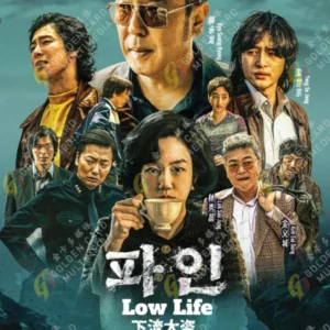 Korean Drama DVD Low Life Episode 1-11 END English Dub Box Set