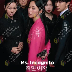 Korean Drama DVD Ms. Incognito Episode 1-12 End Complete Series