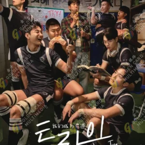 Korean Drama DVD The Winning Try Episode 1-12 End English Subtitle Series