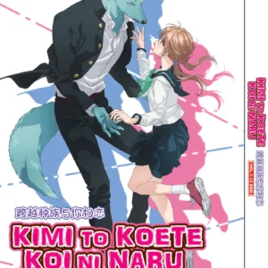 Anime DVD Kimi To Koete Koi Ni Naru (1-12 End) Complete ENGLISH DUB Box Set