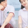 Korean Movie DVD You Are The Apple of My Eye Complete English Subtitle Box Set