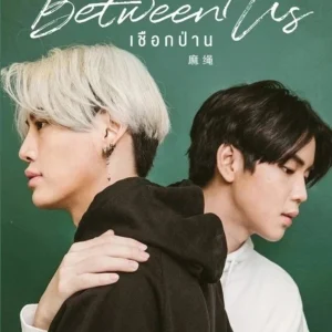 Thailand Drama Between Us (1-12 End + Special) English Subtitle Box Set
