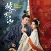Chinese Drama DVD: The Princess's Gambit 桃花映 (1-36 End) English Subtitle Box Set
