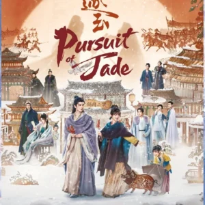 Chinese Drama Pursuit of Jade 逐玉 (1-40 End) Complete English Subtitle Box Set