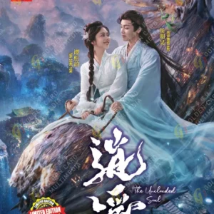 Chinese Drama DVD: The Unclouded Soul 逍遥 Epi 1-40 End Complete Series Box Set