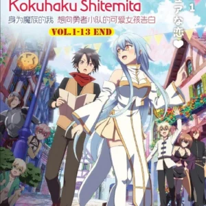 Anime DVD Yuusha Party Ni Kawaii Ko Ga Ita Node(1-13 End) Complete Series Box Set