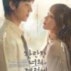 Korean Drama DVD In Your Radiant Season Epi 1-12 End English Subtitle Box Set