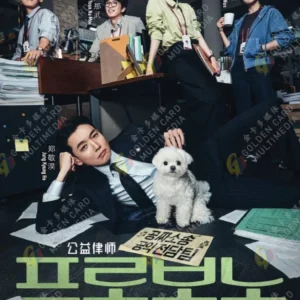 Korean Drama DVD Pro Bono Episode 1-12 End English Subtitle Box Set