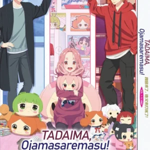 Anime DVD Tadaima, Ojamasaremasu! (1-12 End) Complete Series